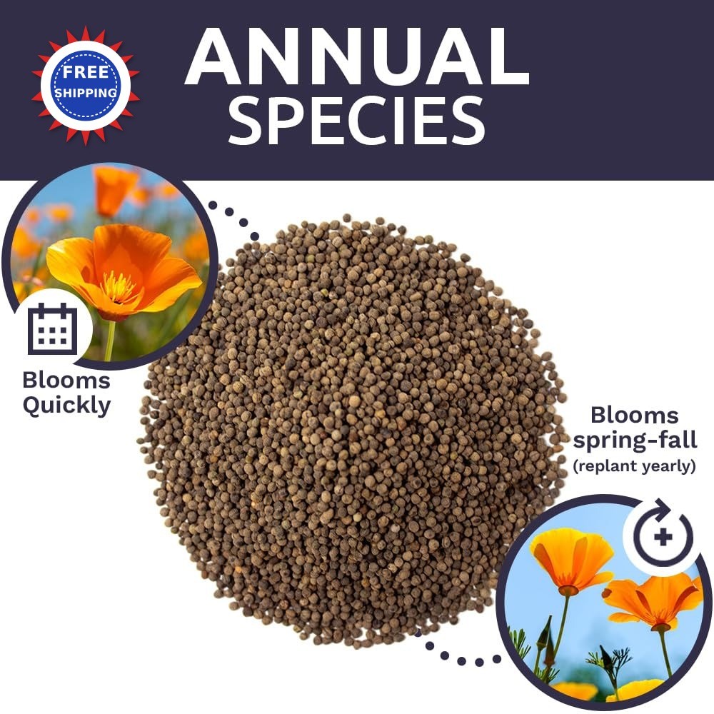 Wildflower Seeds California Orange Poppy 1 Ounce Packet Bulk Native State