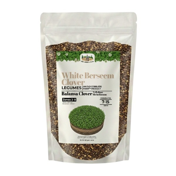 Old Cobblers Farm™ Wicked Tuff Turf Berseem Clover (Legumes)