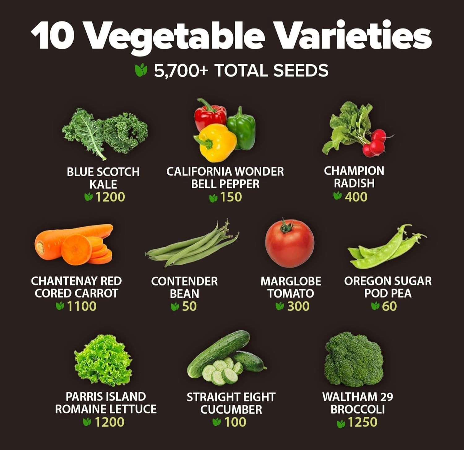 HOME GROWN 10 Variety Survival Seed Vault 2000 USA Grown Heirloom Non GMO