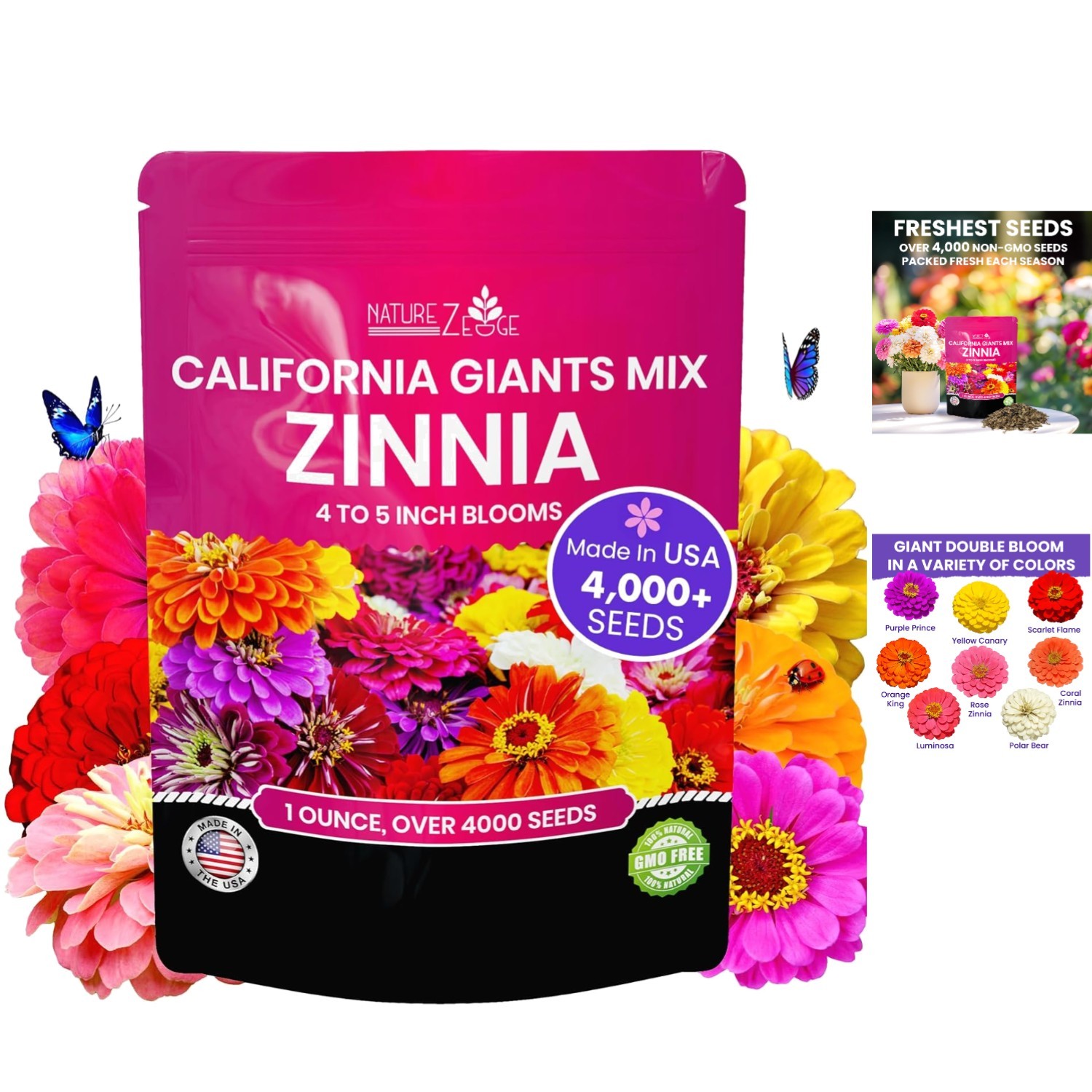 High Germination Rate Zinnia Seeds – 4000 Count California Giants for All Zones